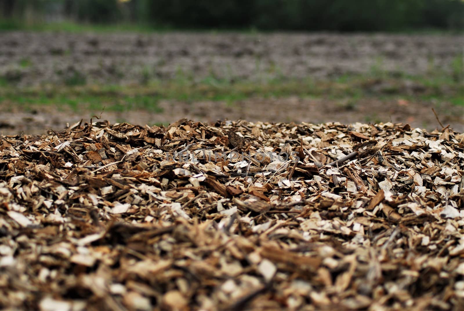 Wood chips in front of a plowed field