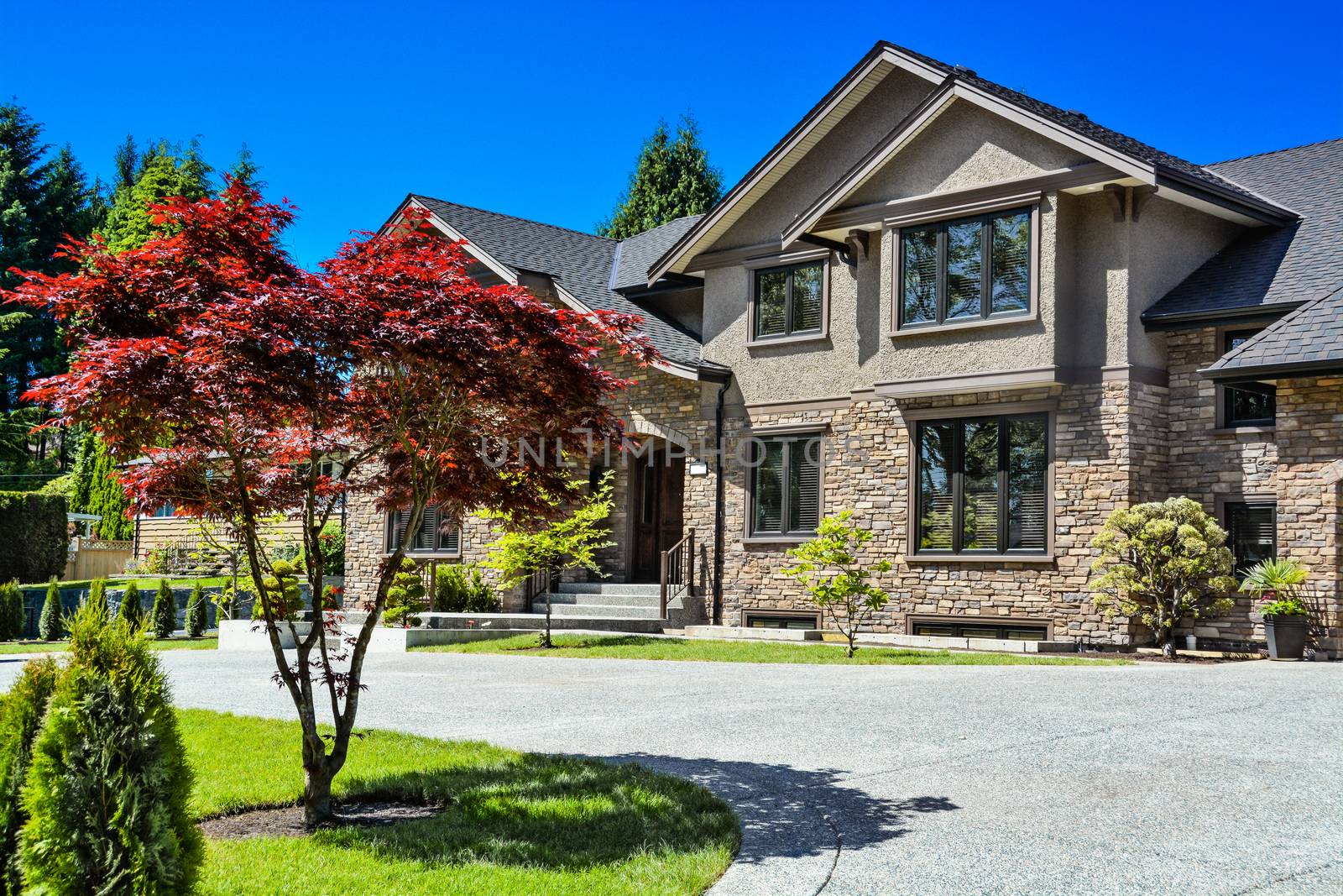 Front yard of luxury family house with green lawn and concrete driveway in front on blue sky background