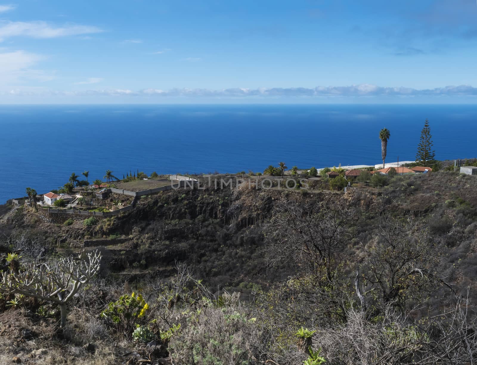 Rural subtropical landscape with palm trees, farm house and sea horizon. Blue sky background, La Palma, Canary Islands, Spain.
