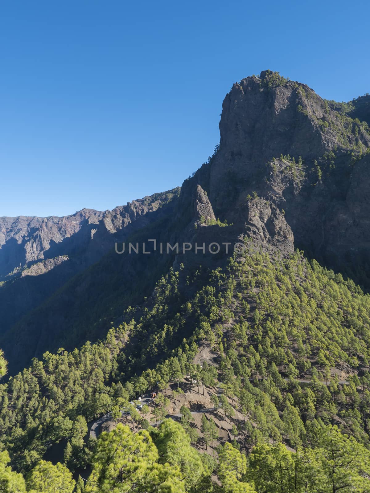 Volcanic landscape and lush pine tree forest, pinus canariensis view from Mirador de la Cumbrecita viewpoint at national park Caldera de Taburiente, volcanic crater in La Palma, Canary Islands, Spain by Henkeova