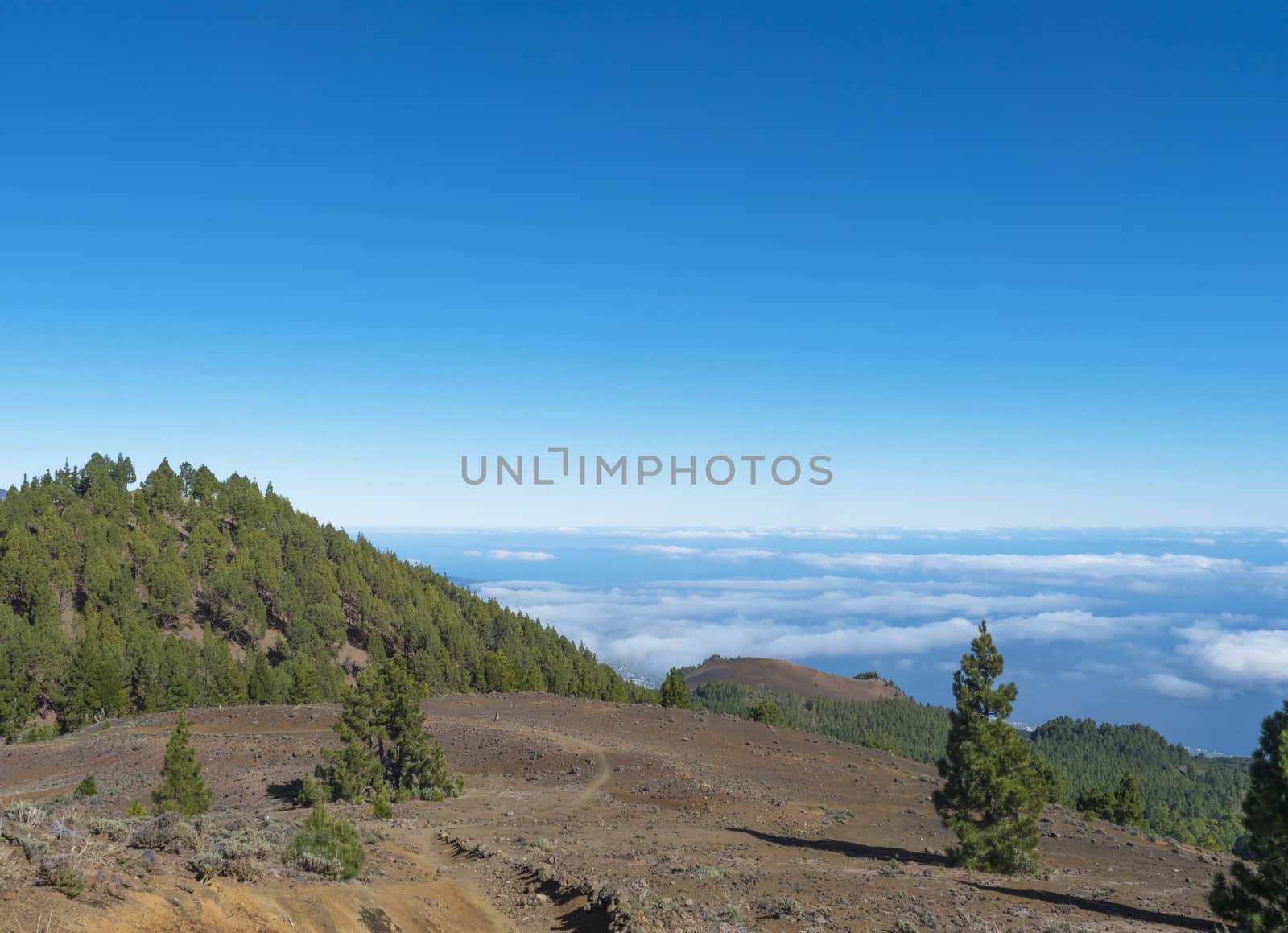 Volcanic landscape with lush green pine trees, colorful volcanoes and lava rock field along path Ruta de los Volcanes, hiking trail at La Palma island, Canary Islands, Spain, Blue sky background.