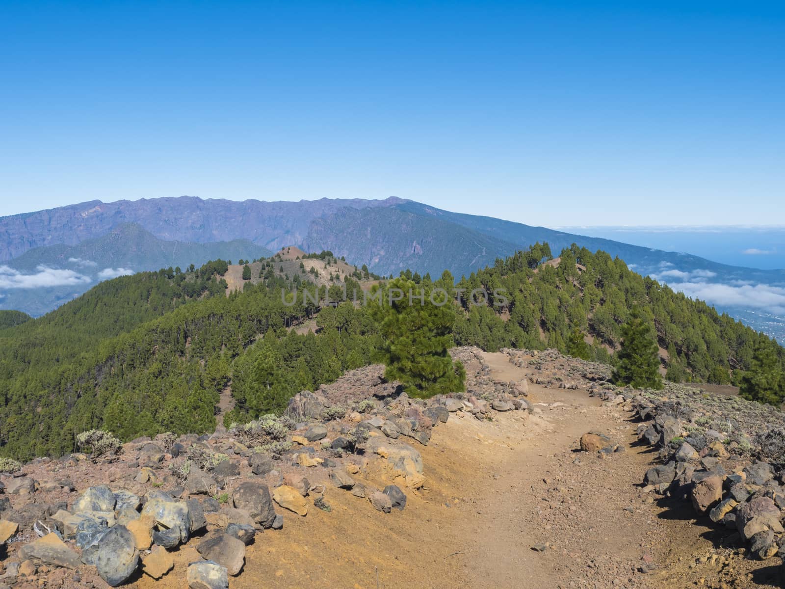 Volcanic landscape with lush green pine trees, colorful volcanoes and lava rock field along path Ruta de los Volcanes, hiking trail at La Palma island, Canary Islands, Spain, Blue sky background.