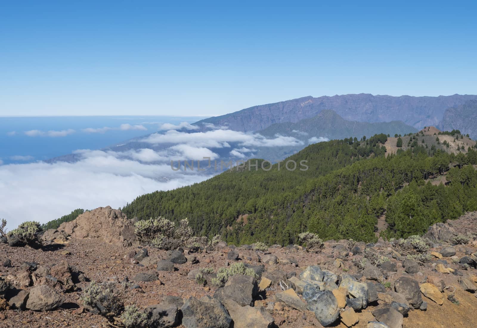 Volcanic landscape with lush green pine trees, colorful volcanoes and lava rock field along path Ruta de los Volcanes, hiking trail at La Palma island, Canary Islands, Spain, Blue sky background.