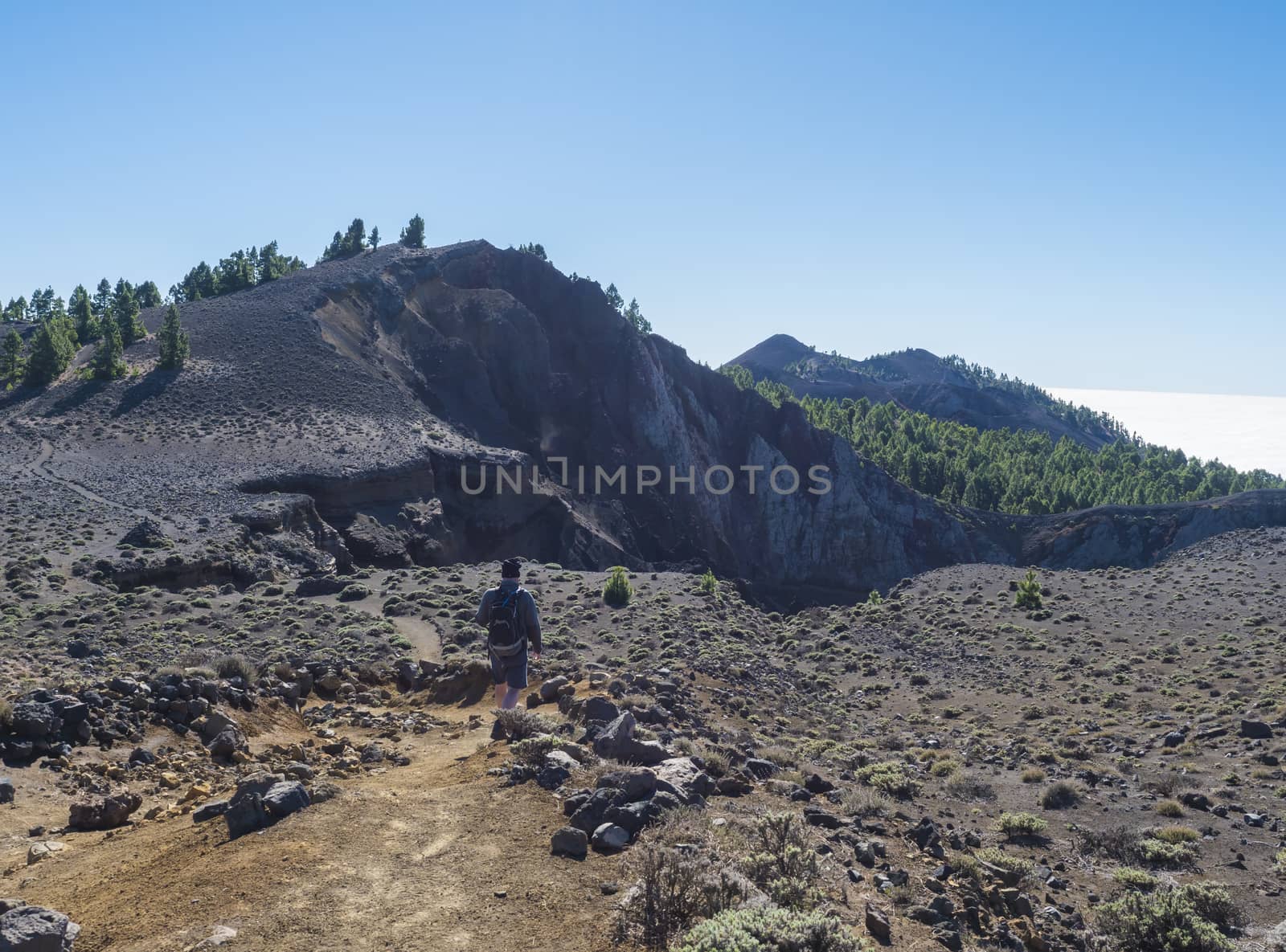 Man hiker at volcanic landscape with lush green pine trees, colorful volcanoes and lava rock field on Ruta de los Volcanes, hiking trail at La Palma island, Canary Islands, Spain, Blue sky background.