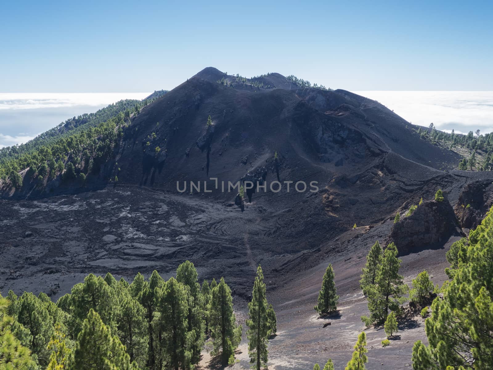 Volcanic landscape with lush green pine trees, colorful volcanoes and lava crater Deseada along path Ruta de los Volcanes, hiking trail at La Palma island, Canary Islands, Spain, Blue sky background.