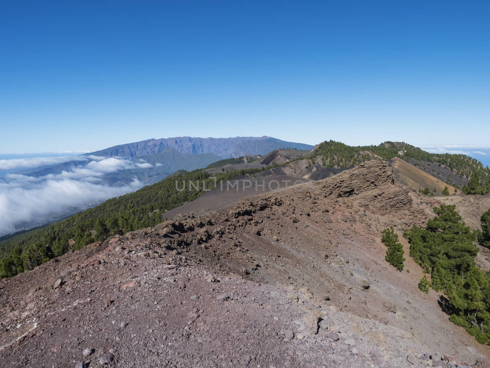 Volcanic landscape with lush green pine trees, colorful volcanoes and lava rock field along path Ruta de los Volcanes, hiking trail at La Palma island, Canary Islands, Spain, Blue sky background.