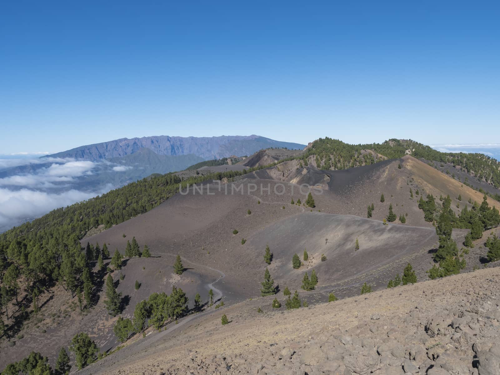 Volcanic landscape with lush green pine trees, colorful volcanoes and lava rock field along path Ruta de los Volcanes, hiking trail at La Palma island, Canary Islands, Spain, Blue sky background.