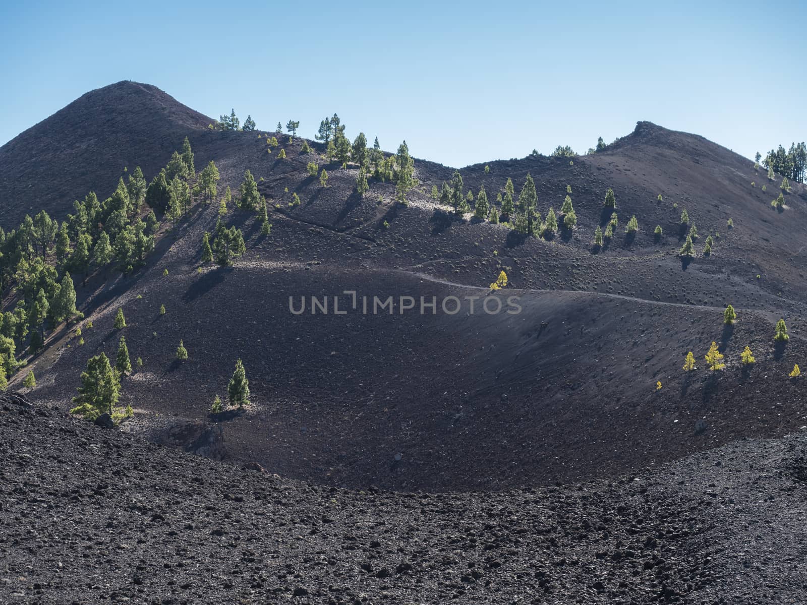 Beautiful volcanic landscape with lush green pine trees and colorful volcanoes along the path Ruta de los Volcanes, beautiful hiking trail at La Palma island, Canary Islands, Spain, Blue sky background.