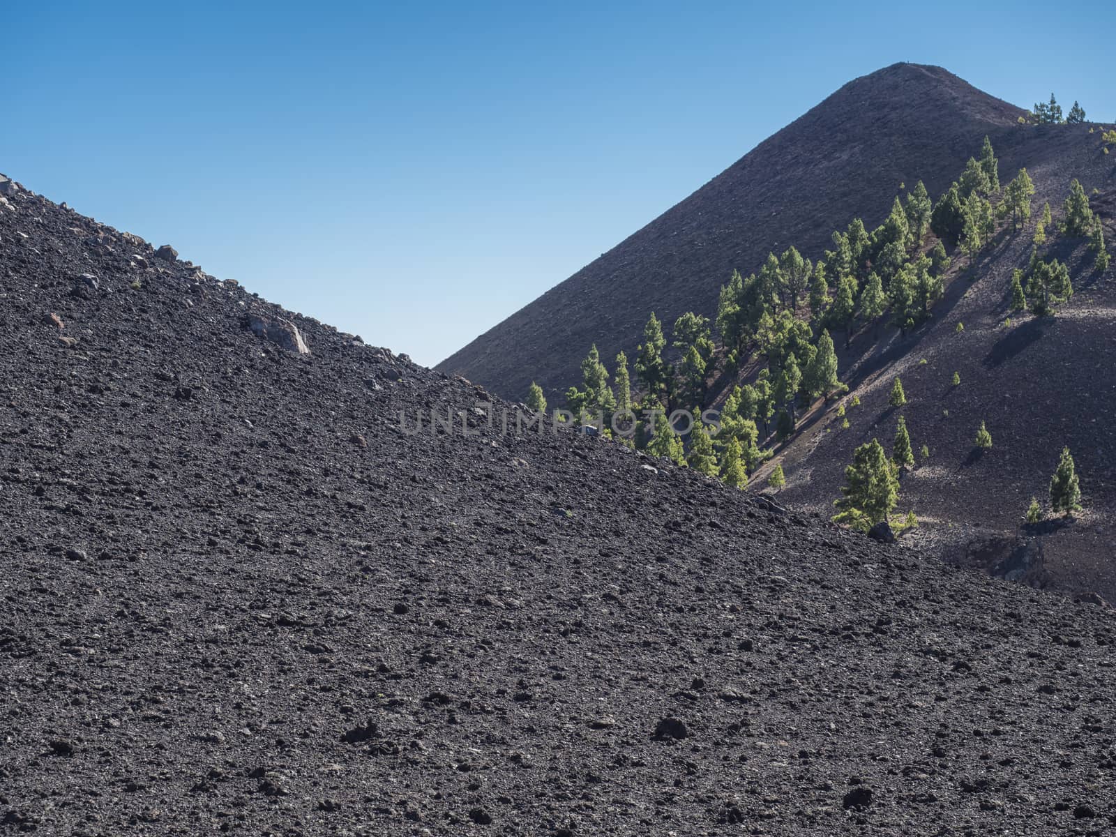 Beautiful volcanic landscape with lush green pine trees and colorful volcanoes along the path Ruta de los Volcanes, beautiful hiking trail at La Palma island, Canary Islands, Spain, Blue sky background.