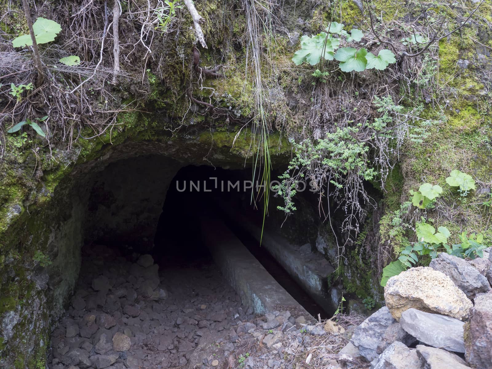 Dark entrance to the tunnel of water duct levada at hiking trail Casa del Monte to Los Tilos at mysterious laurel forest. Beautiful nature reserve on La Palma, Canary islands, Spain.