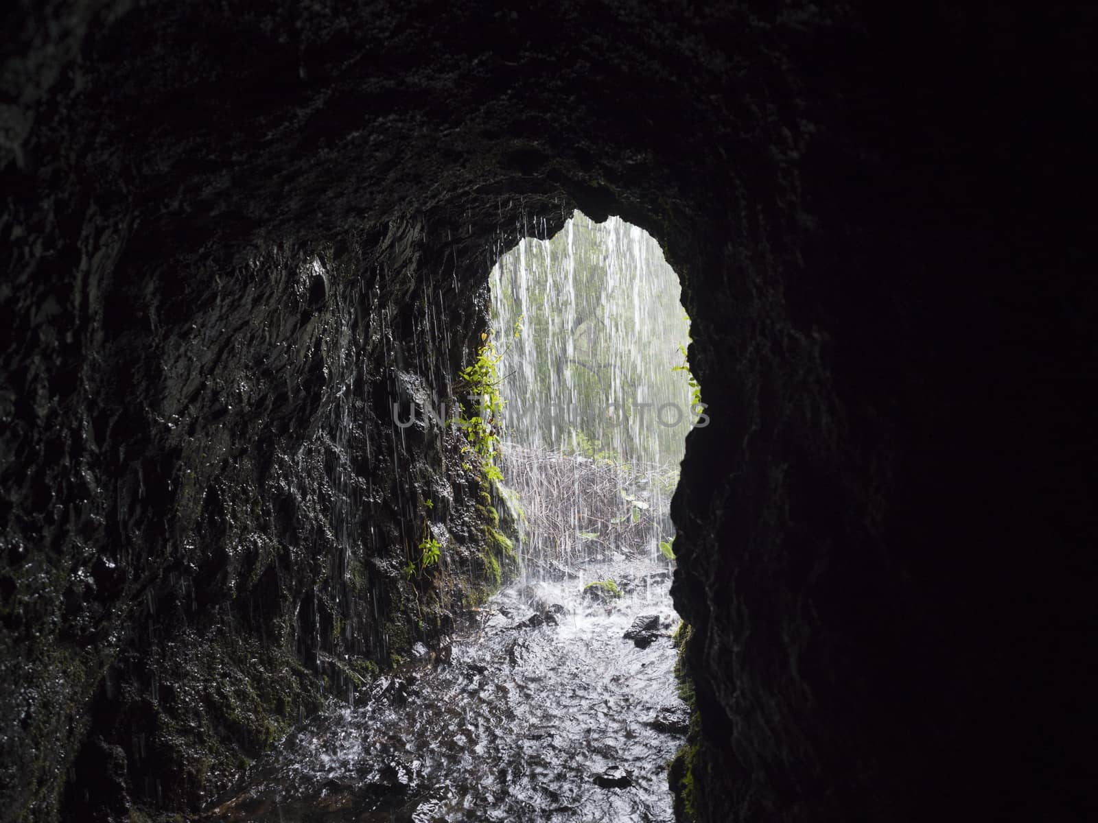 View from dark water duct tunnel through running water to lush jungle at hiking trail Los Tilos at mysterious laurel forest. Beautiful nature reserve on La Palma, Canary islands, Spain.