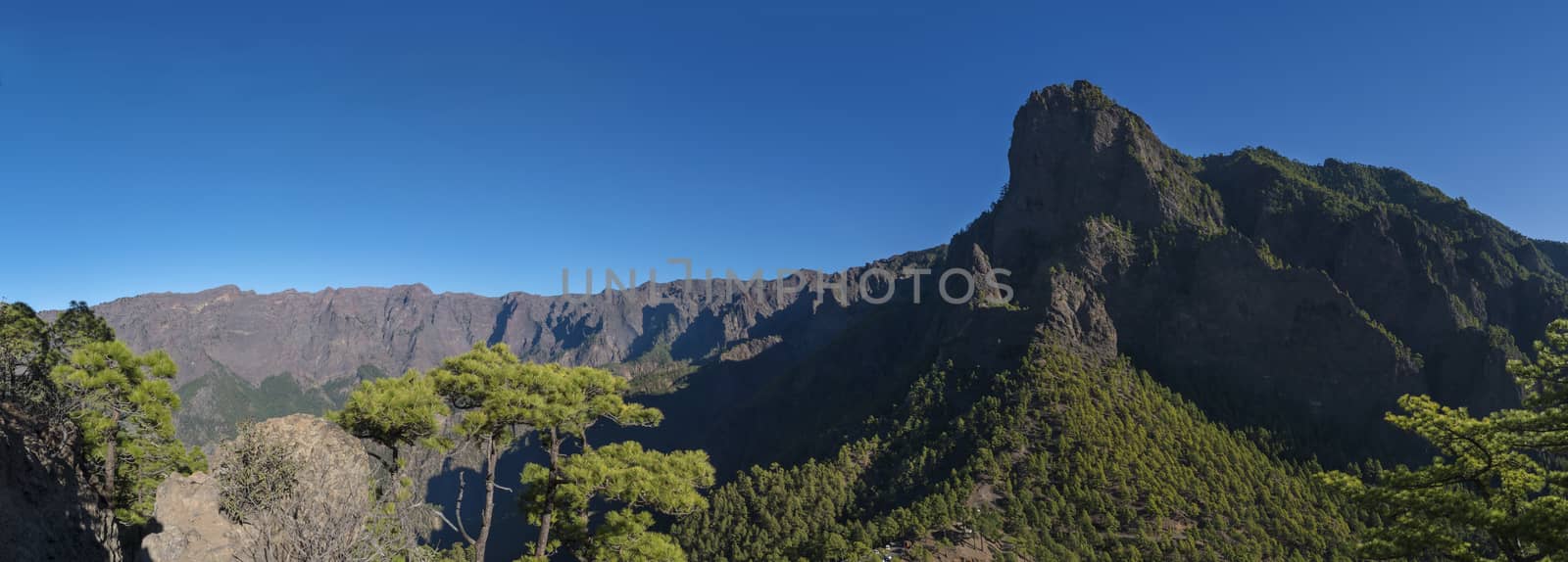 Panoramic view on volcanic landscape and lush pine tree forest, pinus canariensis from Mirador de la Cumbrecita viewpoint at national park Caldera de Taburiente, volcanic crater in La Palma, Canary Islands, Spain.