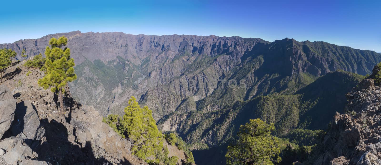 Beautiful volcanic landscape with lush green pine trees and colorful volcanoes along the path Ruta de los Volcanes, beautiful hiking trail at La Palma island, Canary Islands, Spain, Blue sky background.