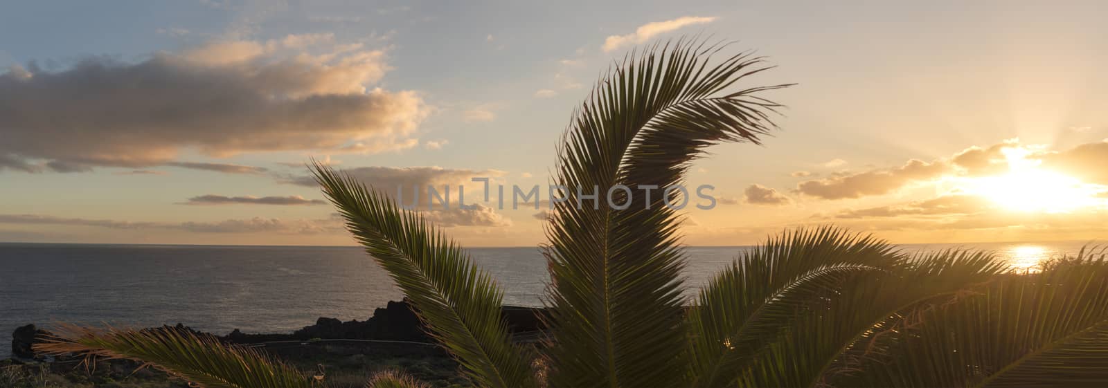 Panoramic view on beautiful orange sunrise over calm ocean with silhouette of palm tree leaves at Los Cancajos at island La Palma, Canary Island