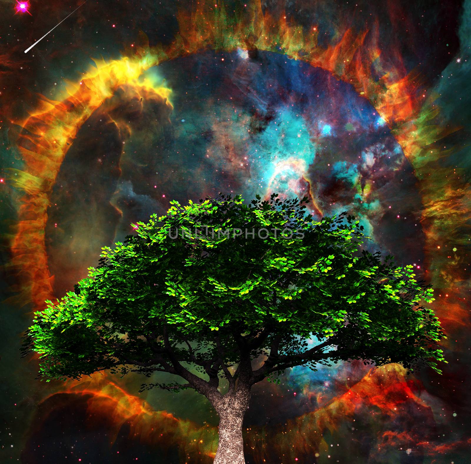 Tree of Life by applesstock