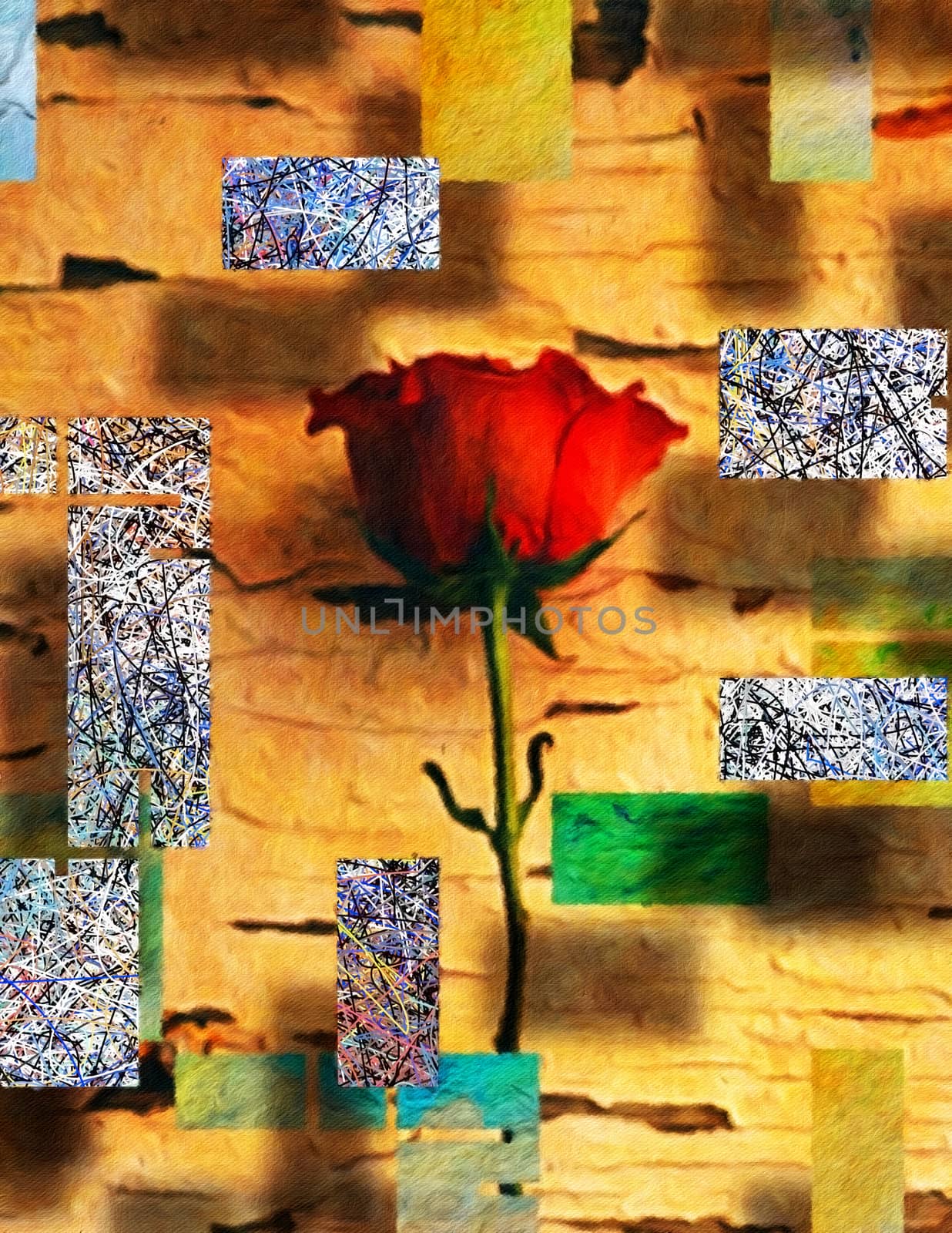 Modern art. Red rose on abstract background. Canvas