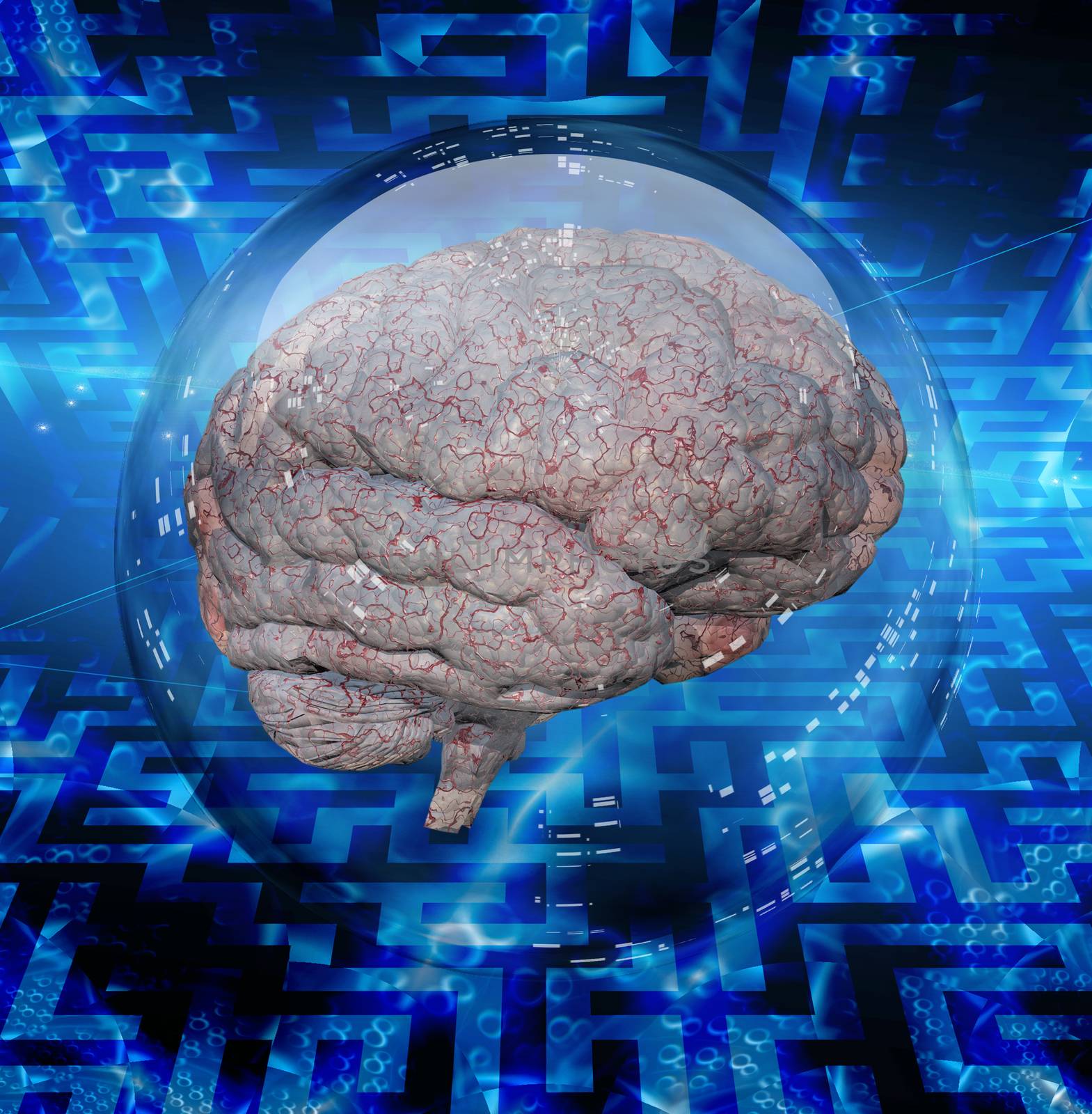 Human brain in glass sphere
