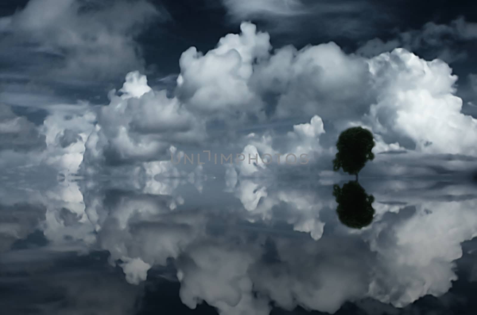 Clouds, tree and reflecting water