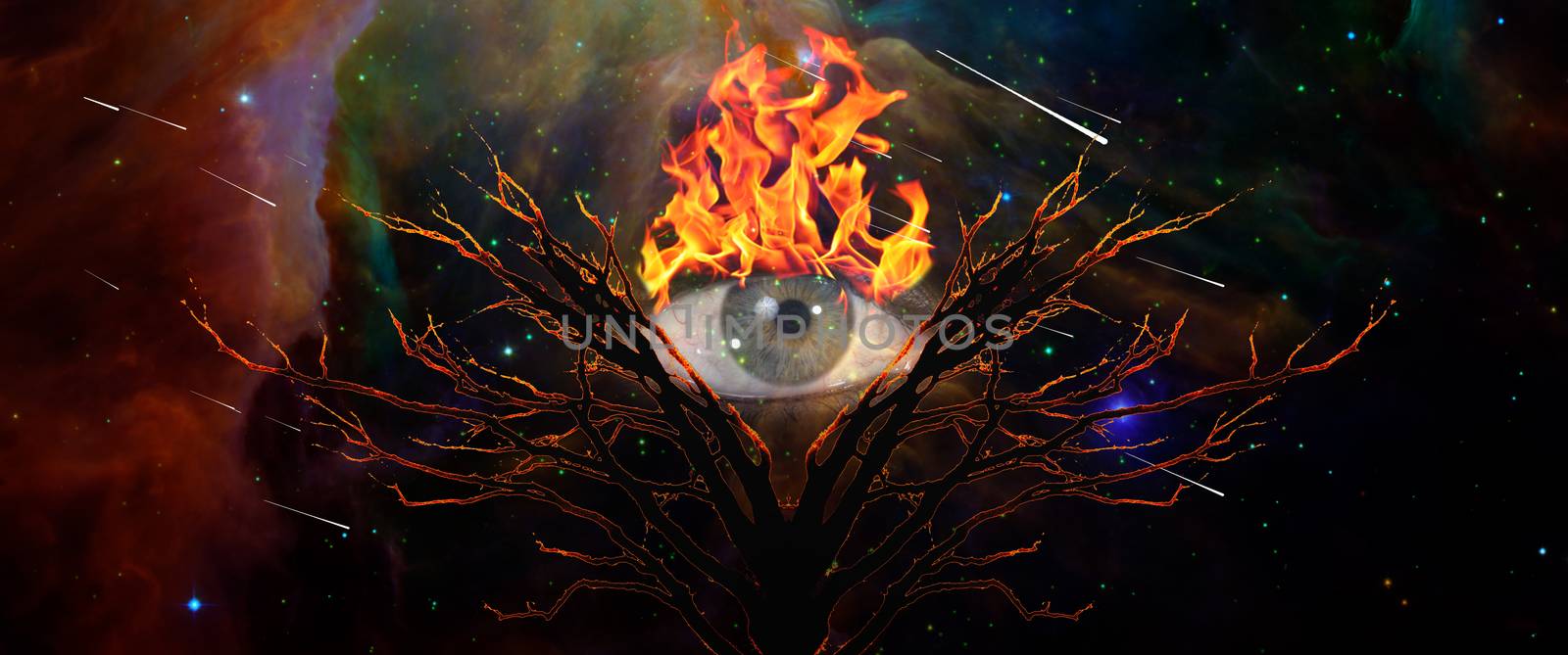 Mystic Tree of Life and Burning Eye of God