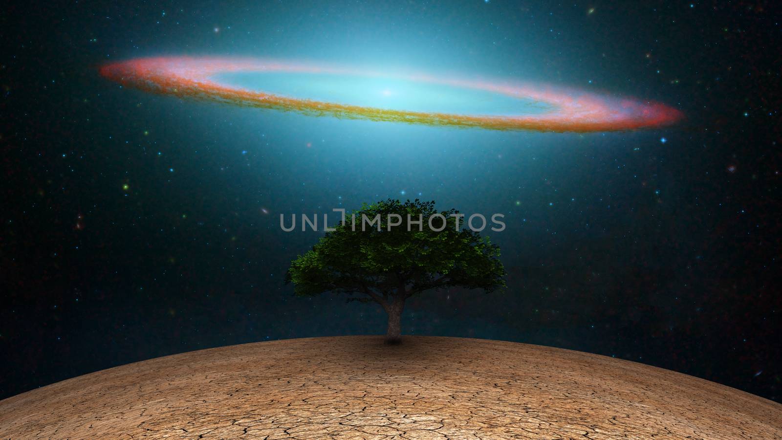Surrealism. Green tree in arid land. Galactic disk in night sky.