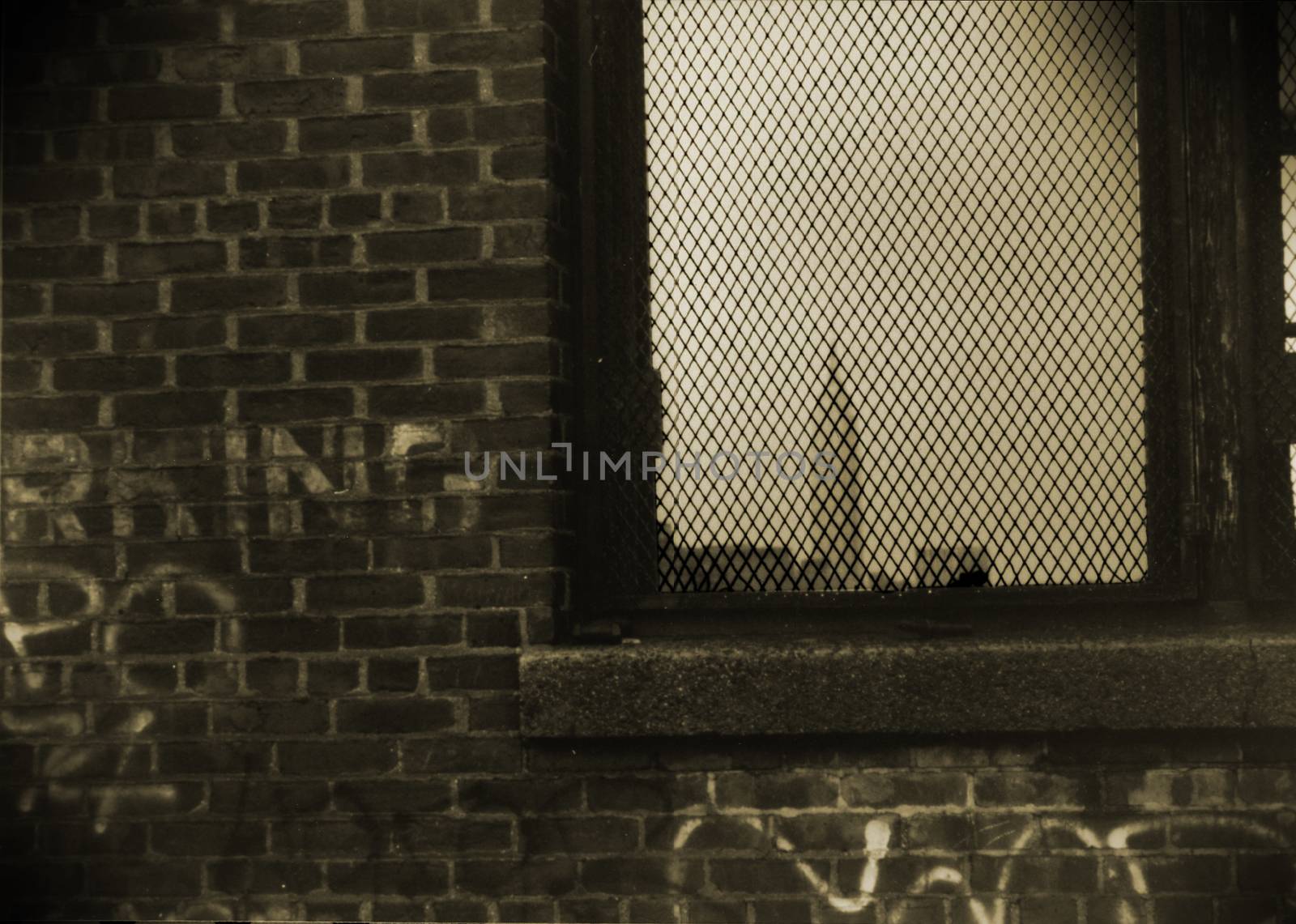 Brick wall with writings. Bars on the window