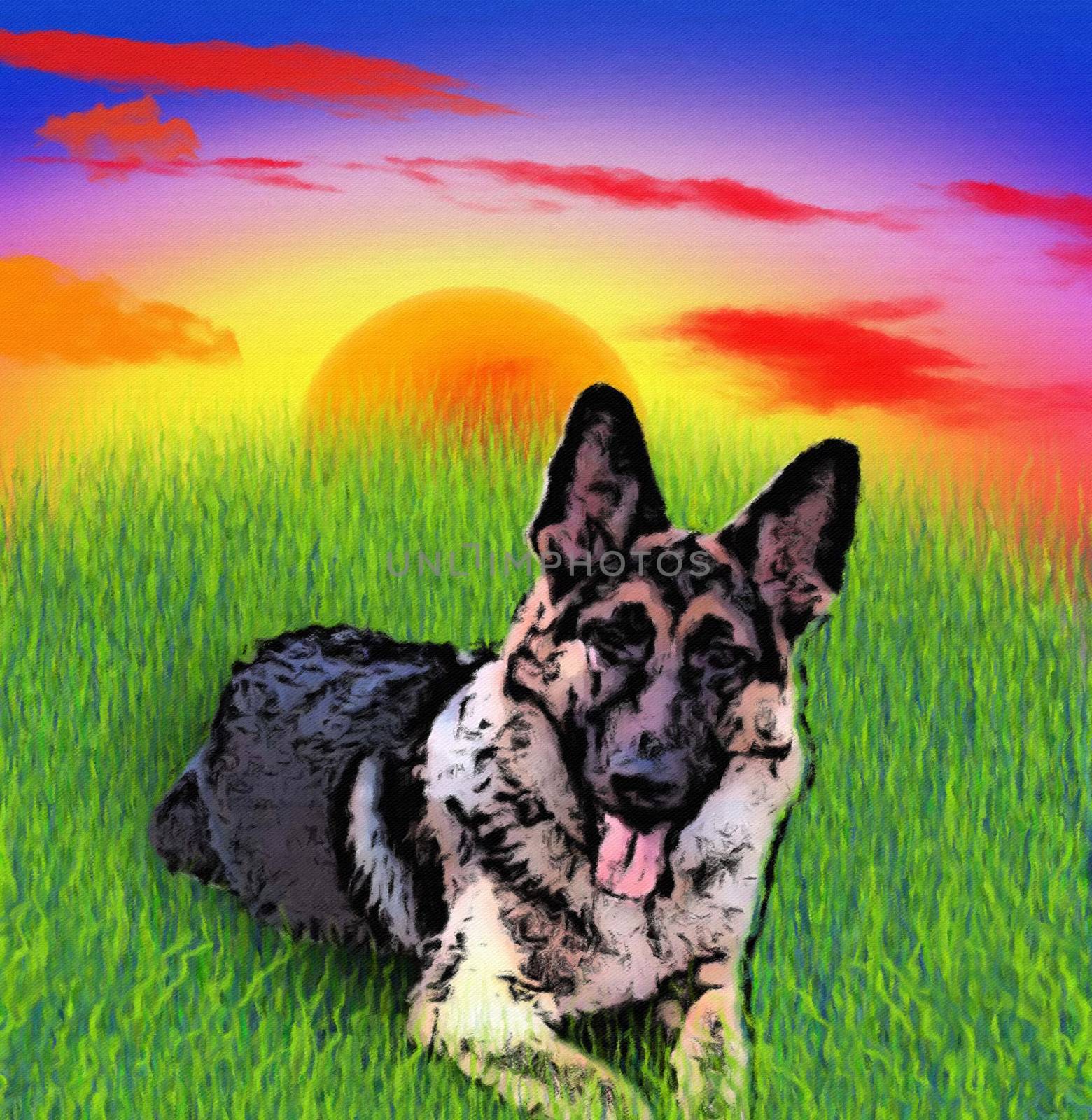 Illustration. German shepherd dog lying on green grass. Sunset 