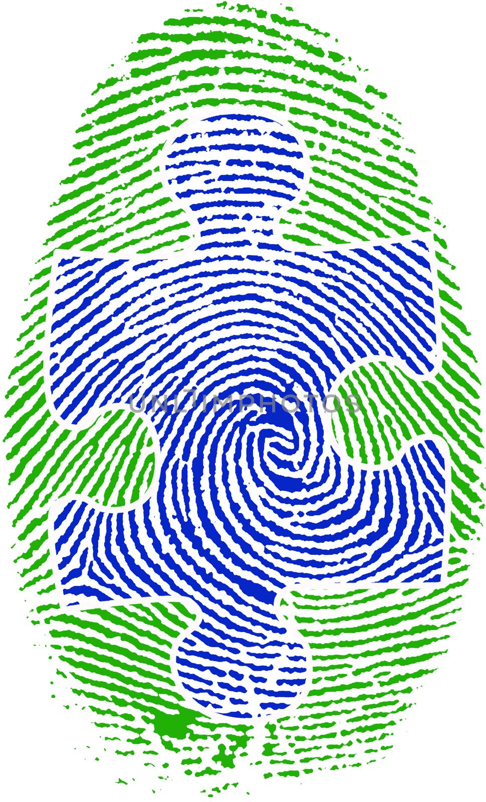 Fingerprint with Puzzle by applesstock