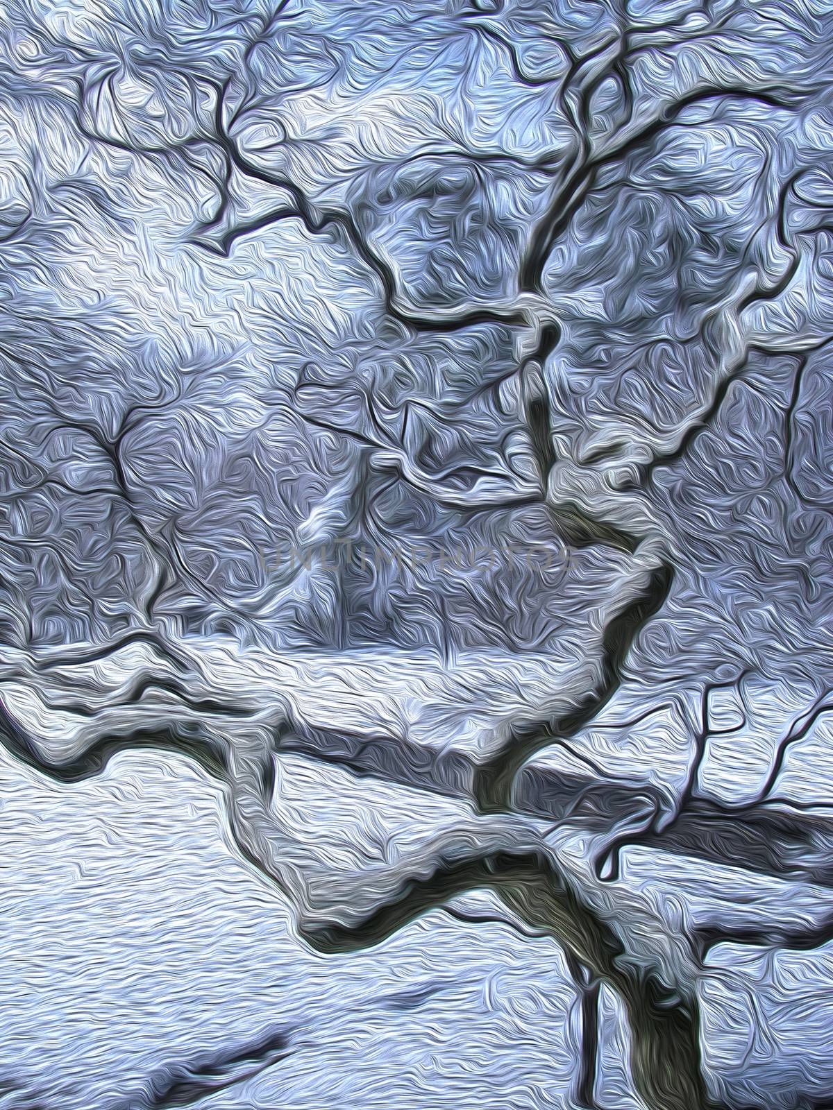 Winter park. Snow on a tree branch.