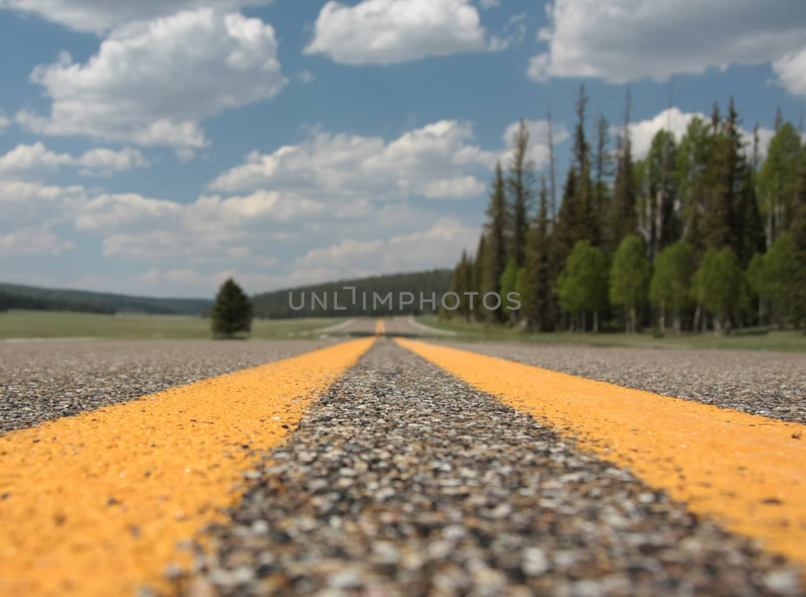 Yellow lines on a highway.