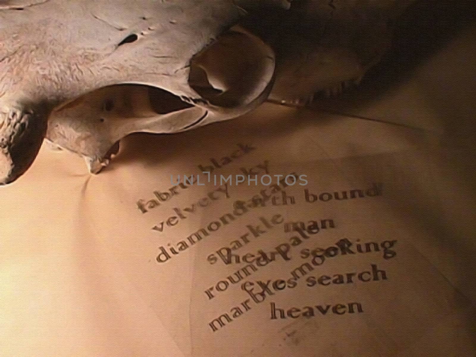Cow skull and romantic words. 