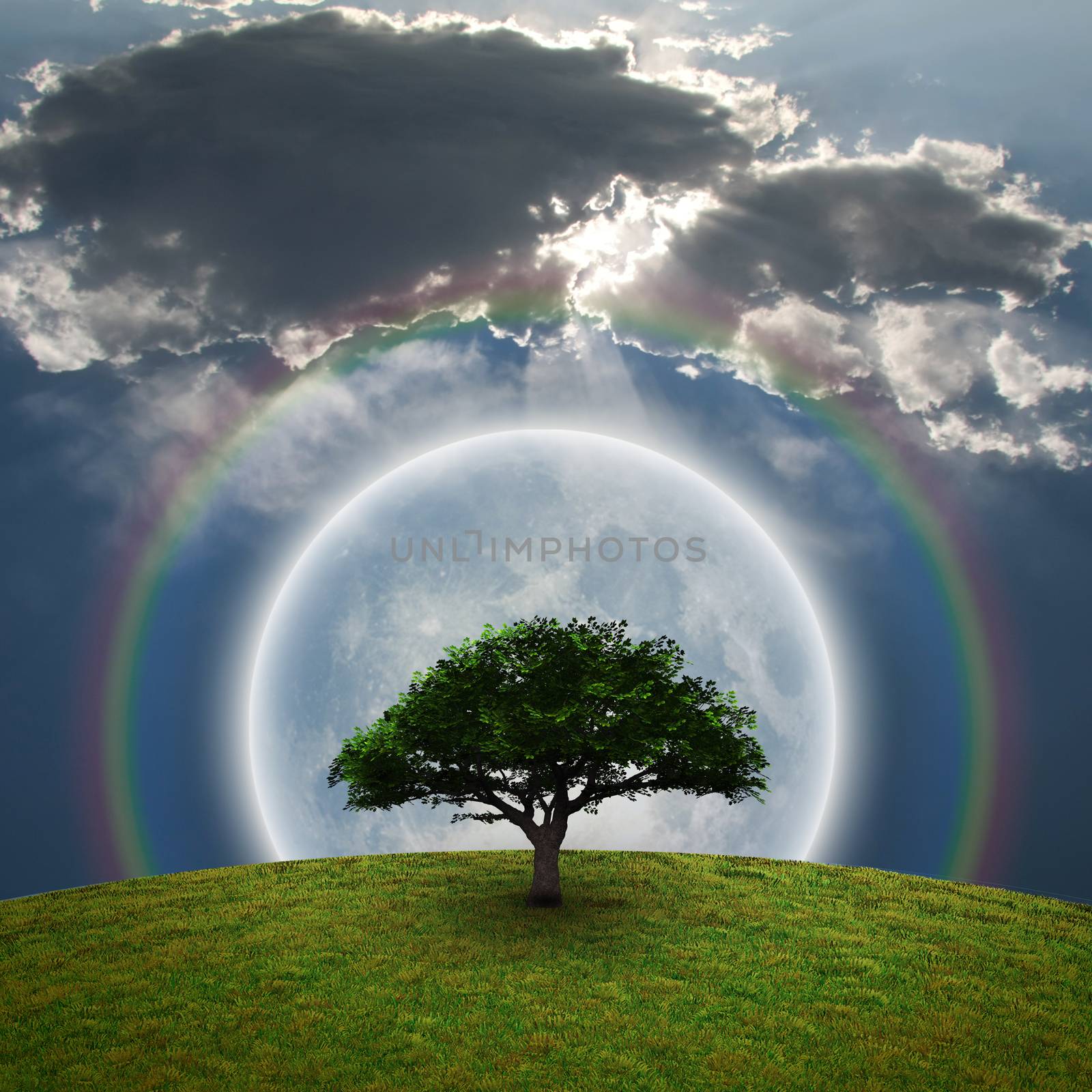 Green Tree. Bright moon and rainbow. 3D rendering.