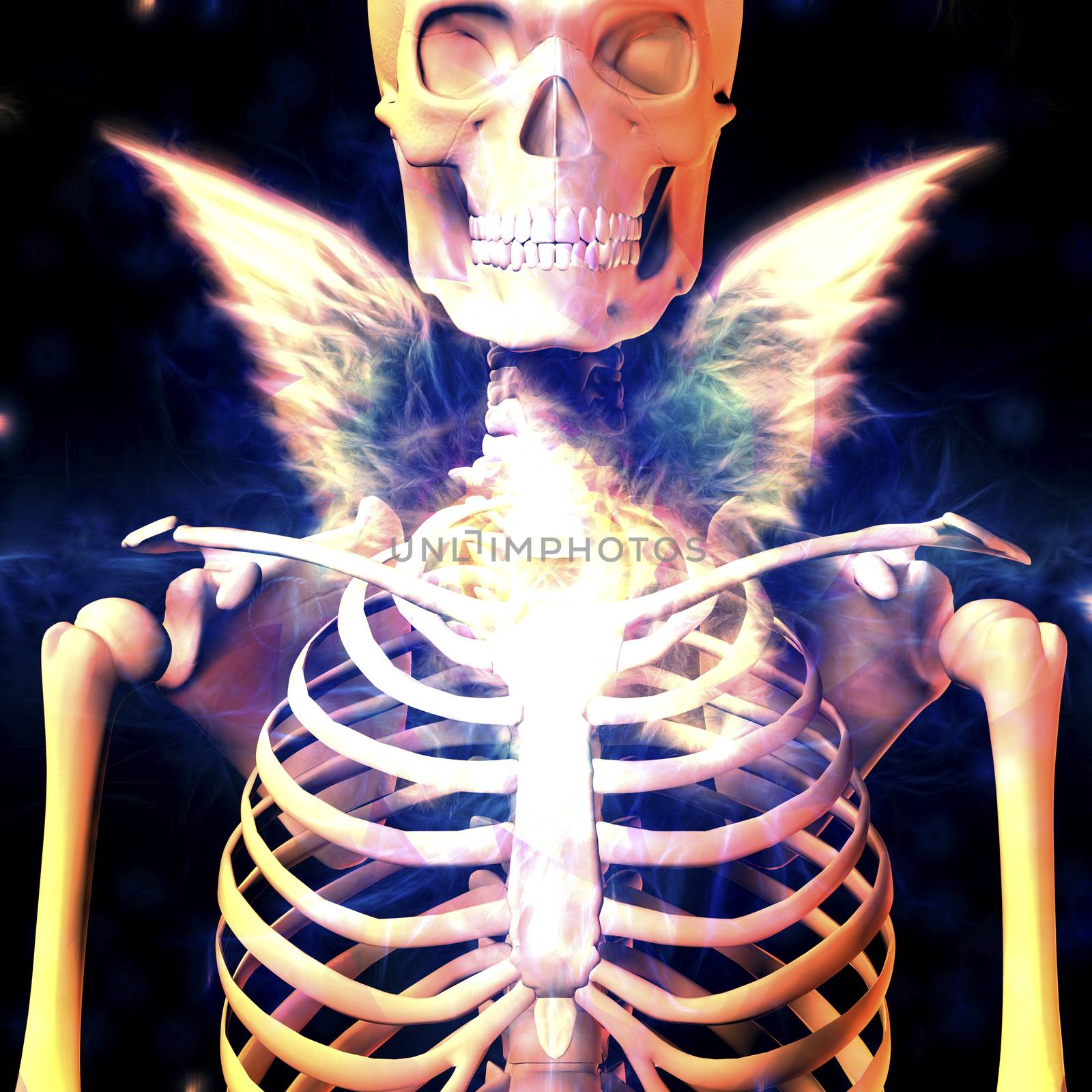 Human skeleton with glowing wings