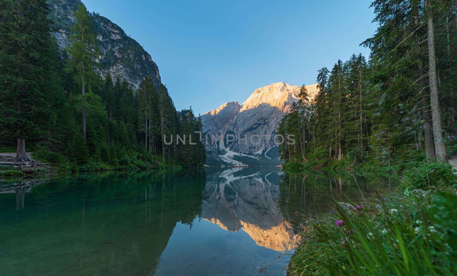 The mountain lake of Braies immersed in the green of South Tyrol, in the background the Seekofel