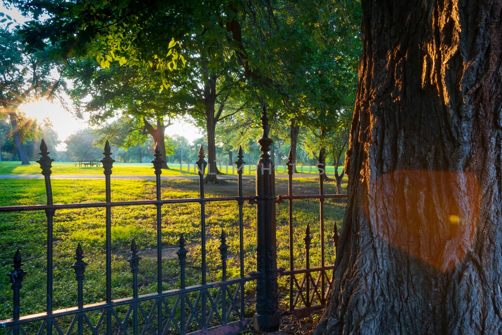 Long shadows through wrought iron fence surrounding La Fayette Park with lens flare  effect at sunset  St Louis Missouri USA