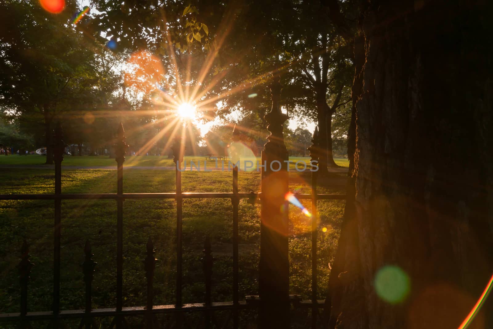 Long shadows through wrought iron fence surrounding La Fayette Park with lens flare aged photo effect and haze at sunset  St Louis Missouri USA