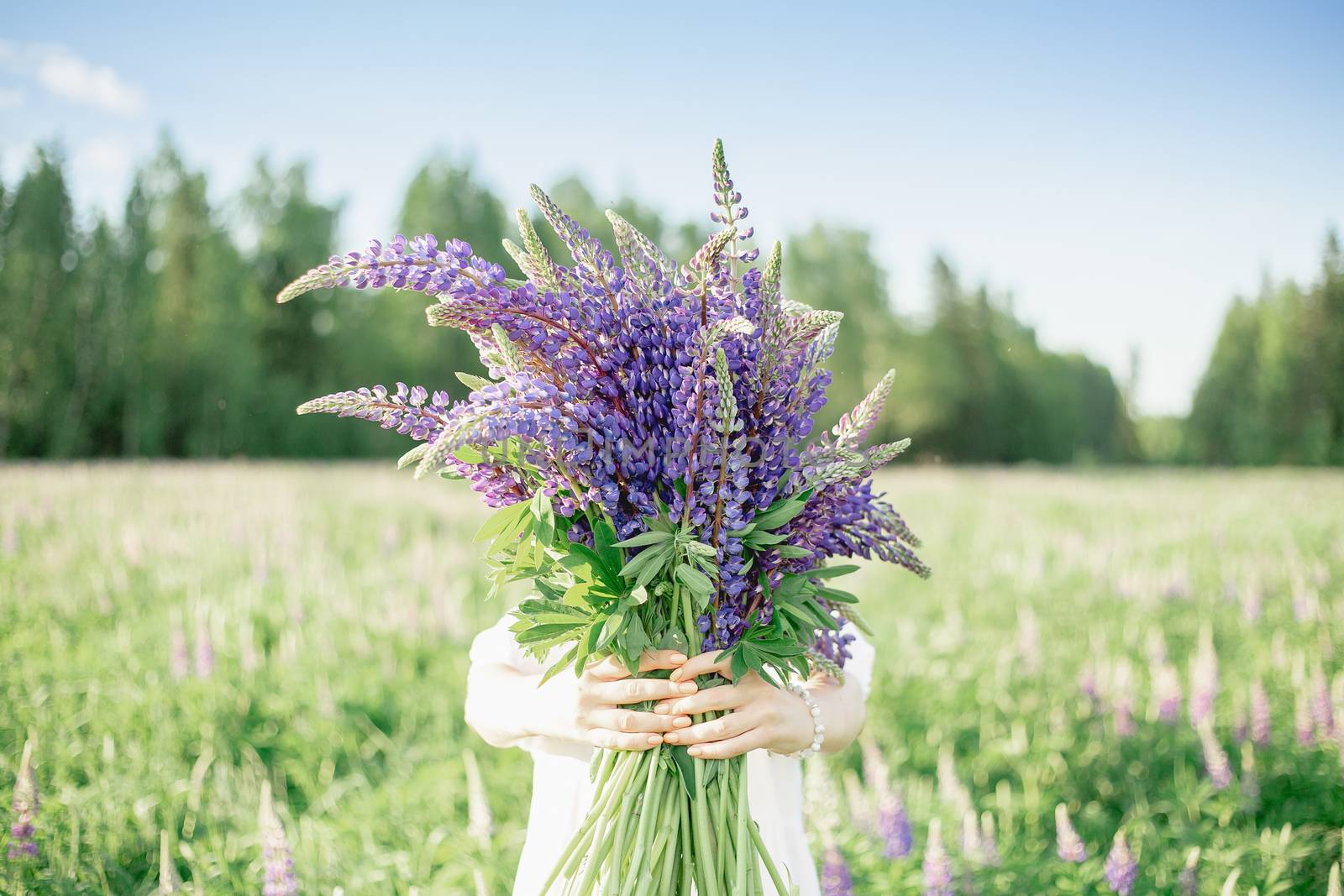 a girl on a flower field on a Sunny day holds a bouquet of flowers in front of her and hides her face, a Summer day and a bouquet of lupins. women's day, mother's Day, celebration concept, gift. 