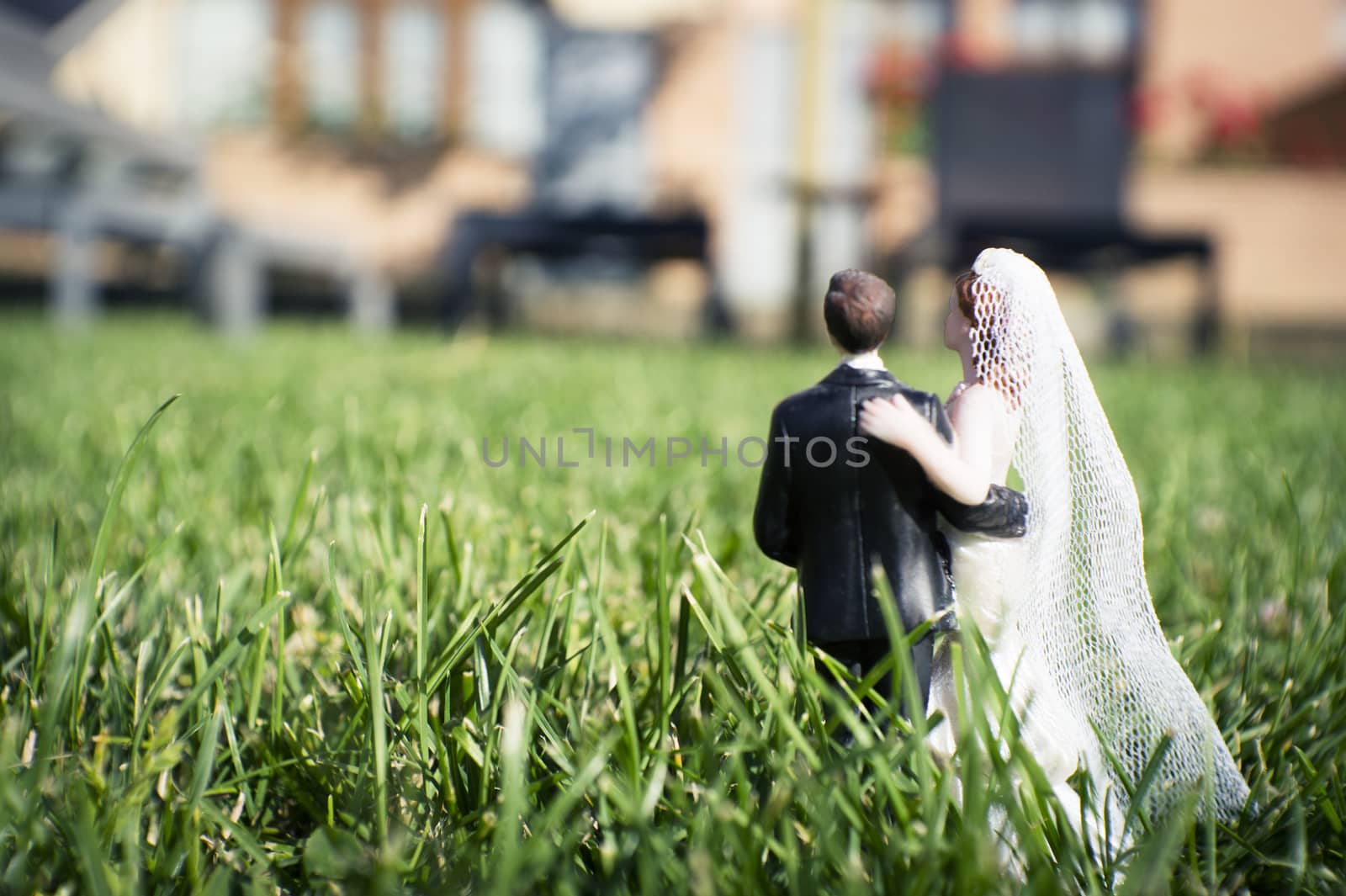 Standard figure of wedding couple on natural grass in the field by GemaIbarra