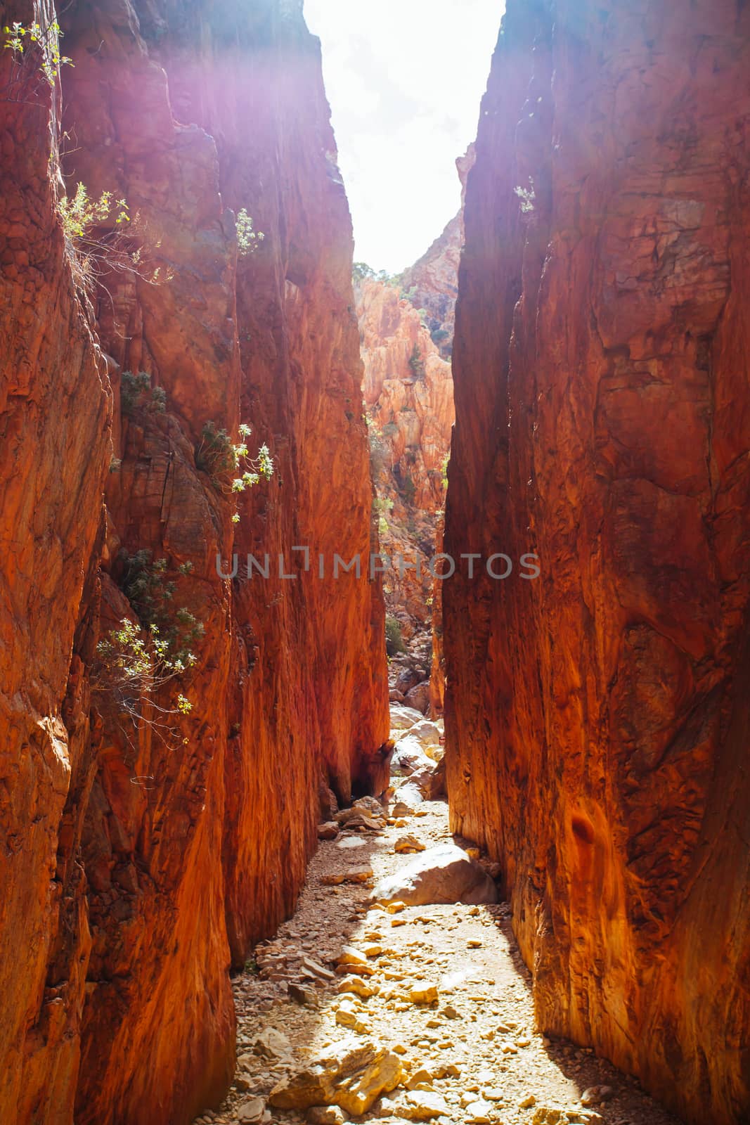 The iconic Standley Chasm and its fascinating rock formations in MacDonnell Ranges National Park, near Alice Springs in the Northern Territory, Australia