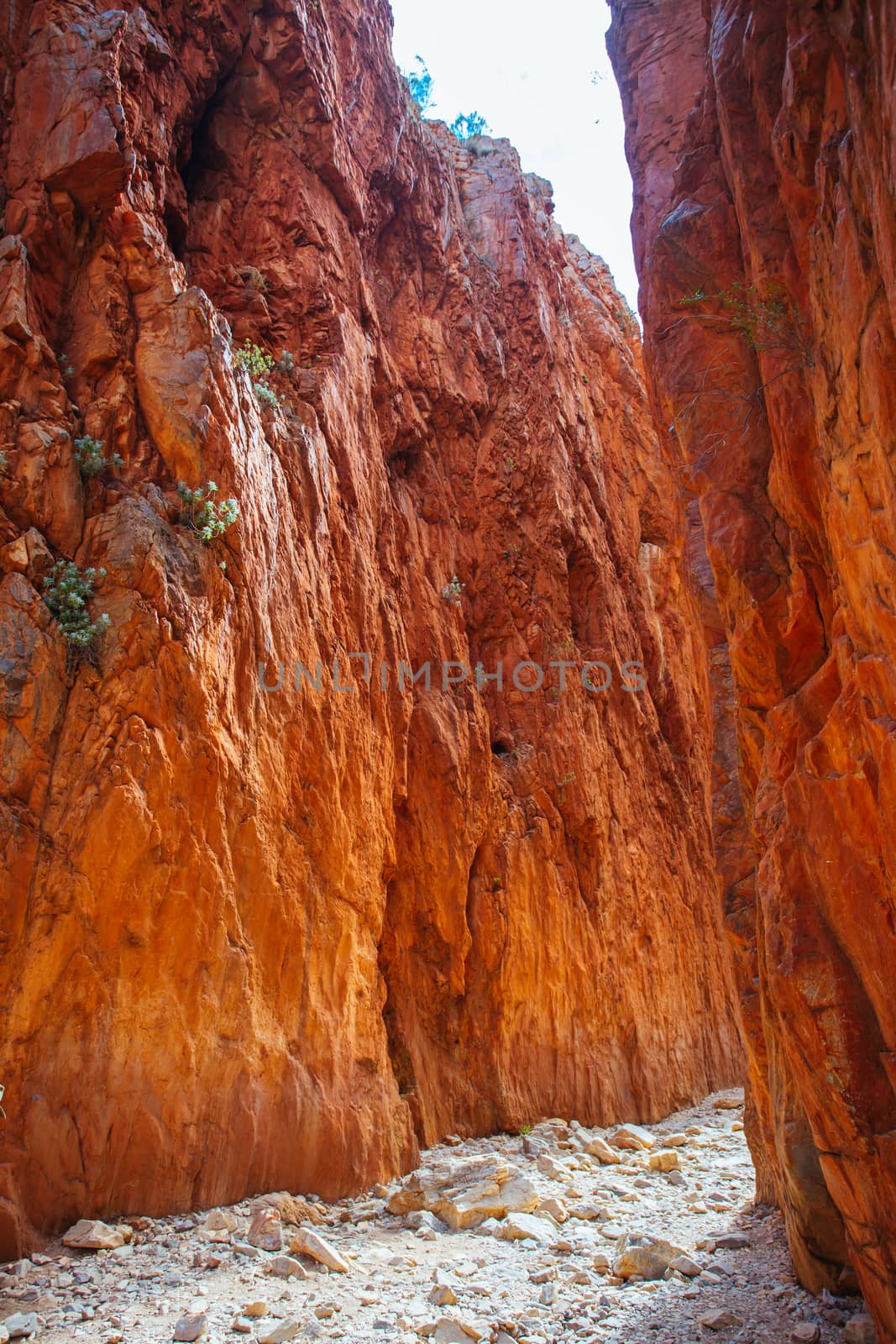 Standley Chasm near Alice Springs in Australia by FiledIMAGE