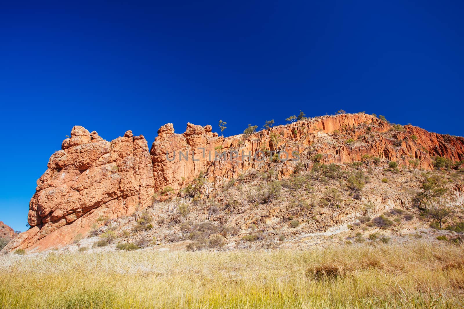Glen Helen Gorge in Australia by FiledIMAGE