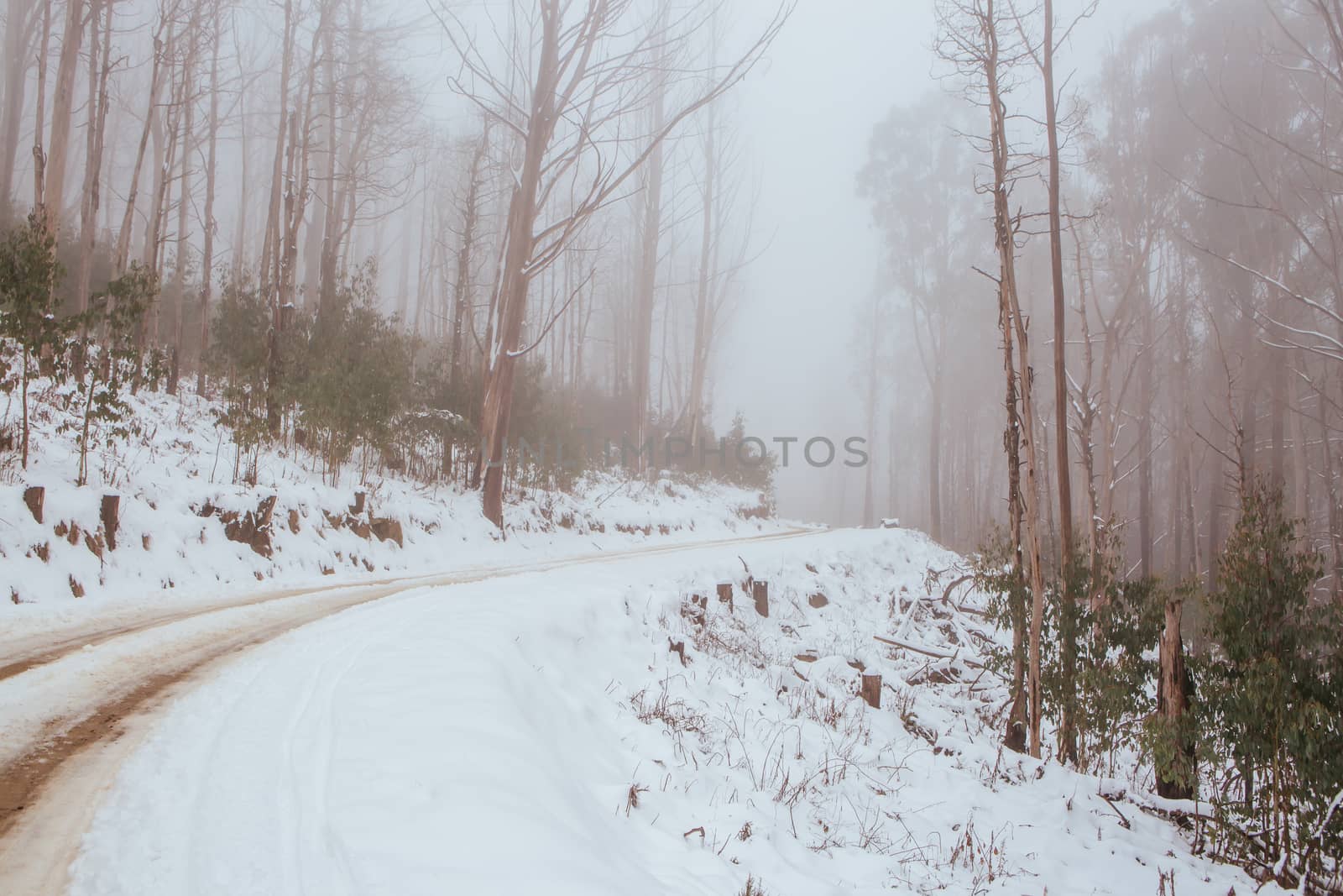 The road to Lake Mountain in Yarra Ranges National Park after a snow stoem in Victoria, Australia