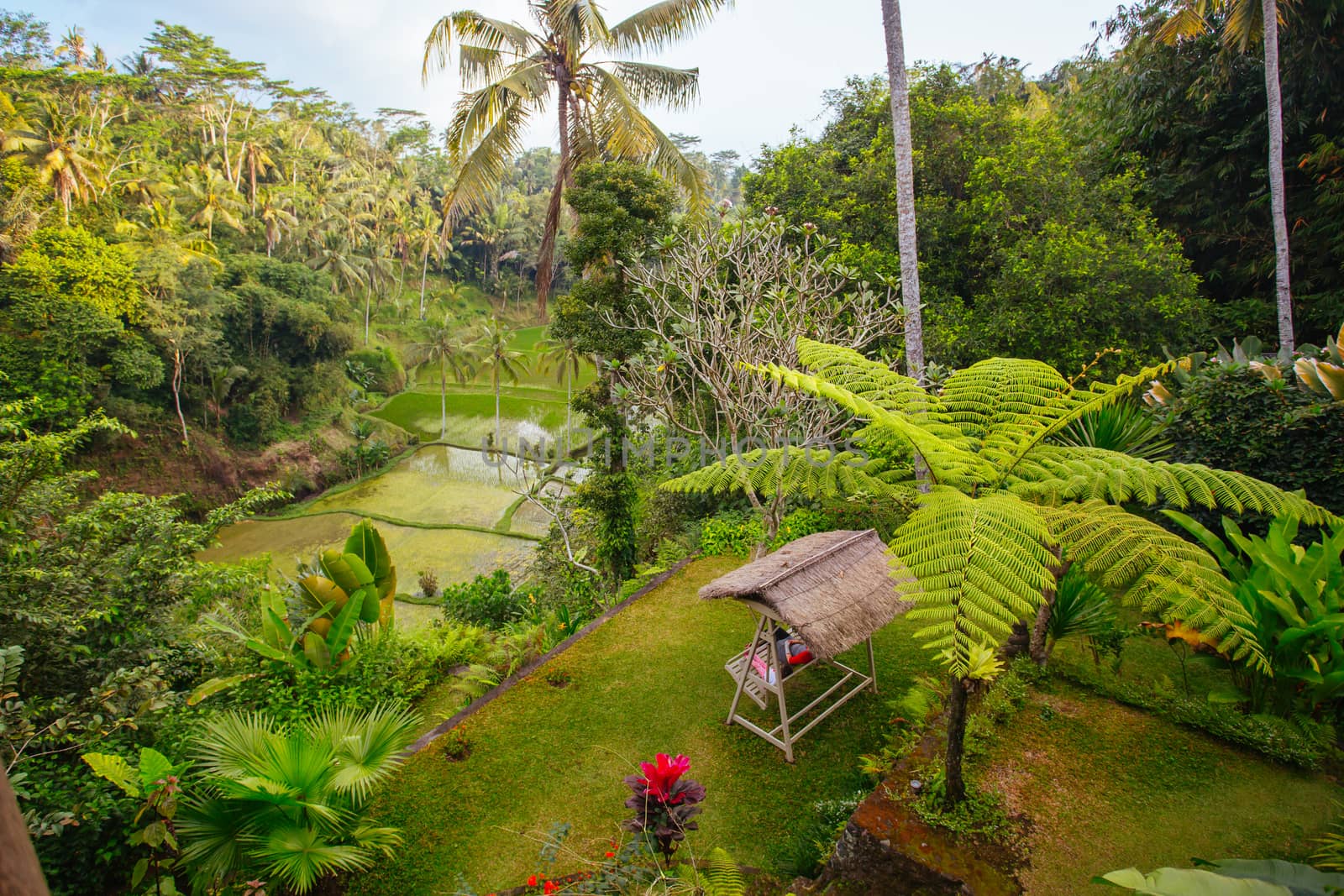 Luxury villa above rice fields near Ubud, Bali, Indonesia