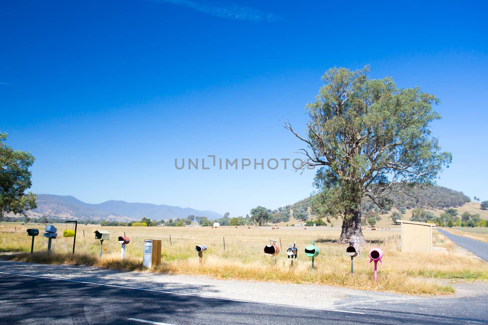 A row of colourful letterboxes in the Victorian High Country in Australia