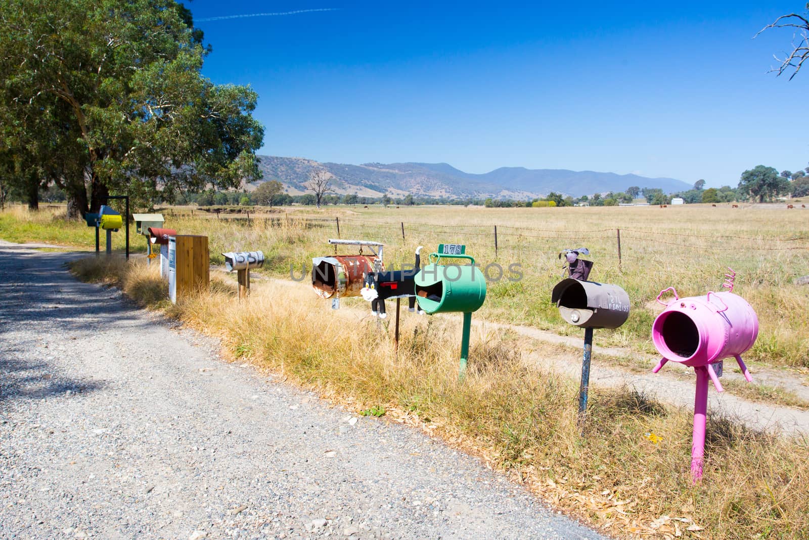 A row of colourful letterboxes in the Victorian High Country in Australia
