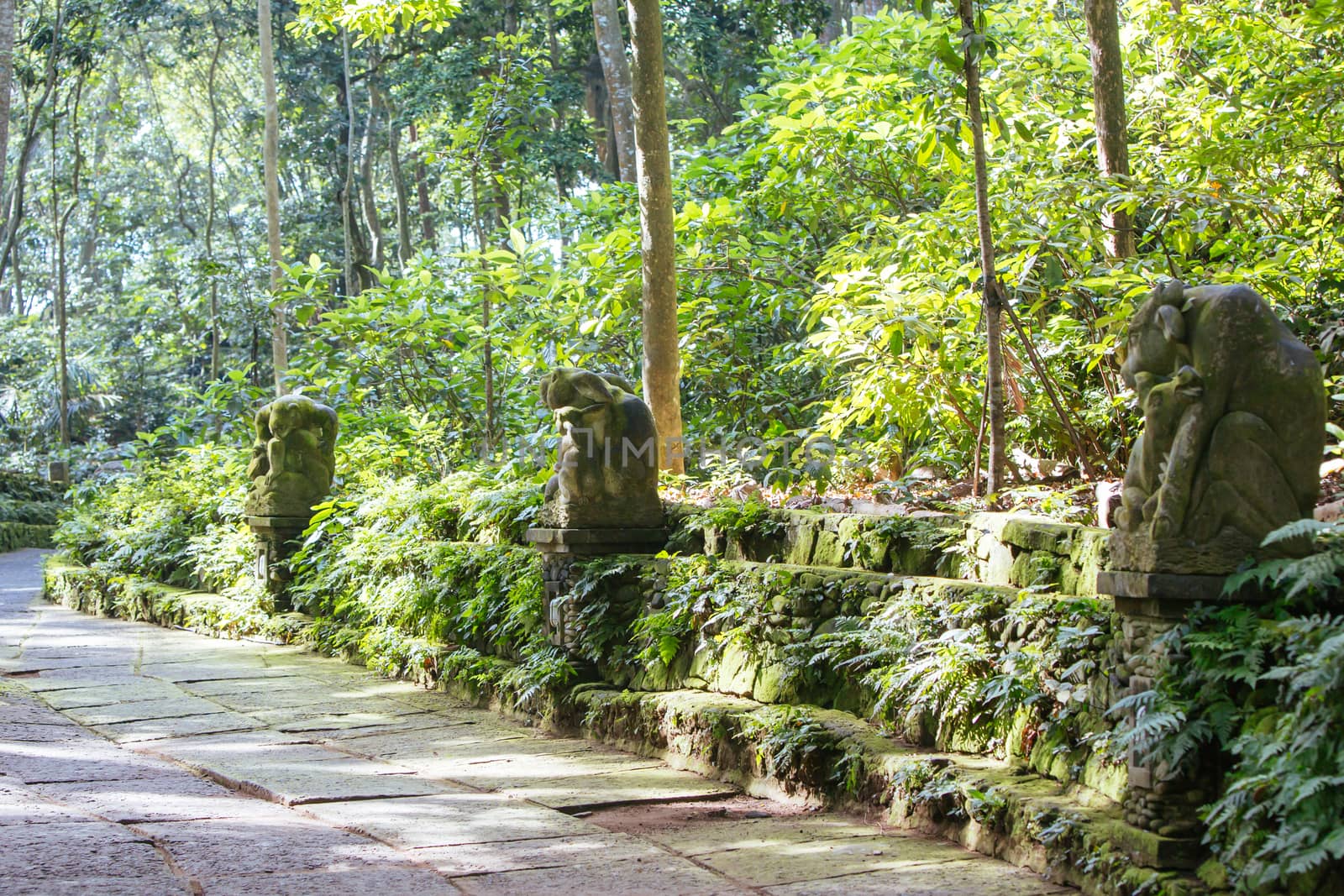 The grounds of Monkey Forest Sanctuary in Ubud, Bali,Indonesia