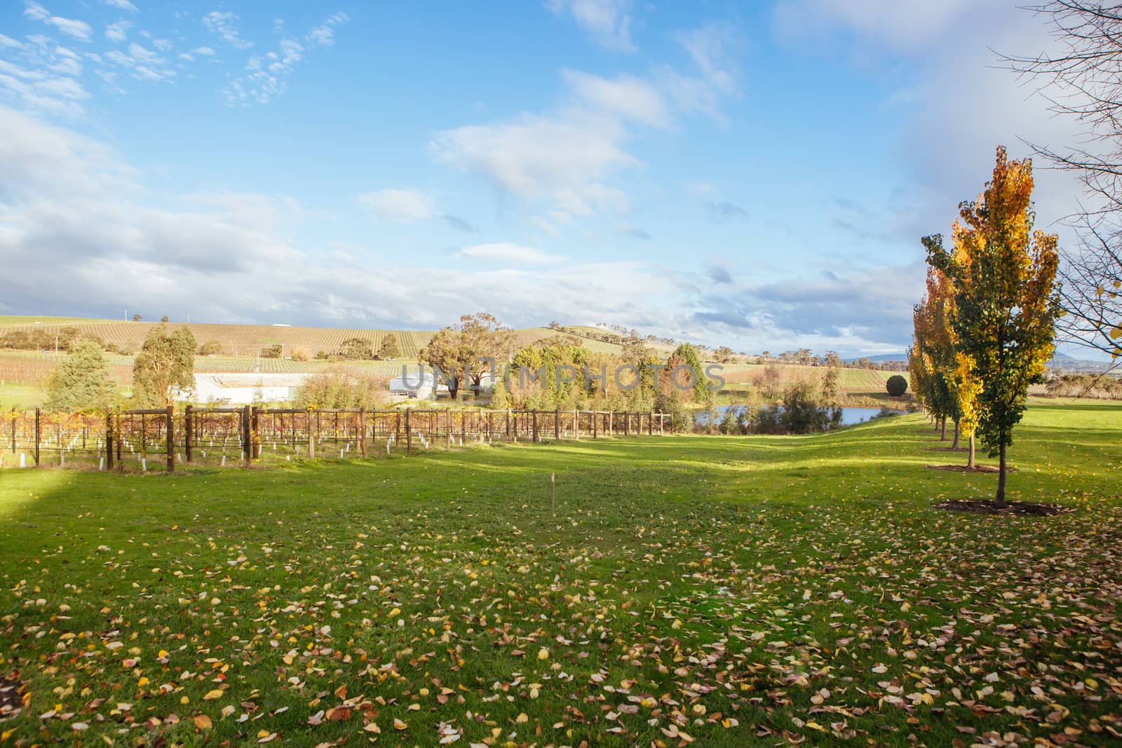 Coldstream Hills Cellar Door in Australia by FiledIMAGE