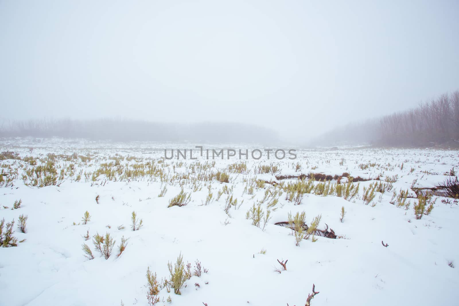 Lake Mountain Scenery in Australia by FiledIMAGE