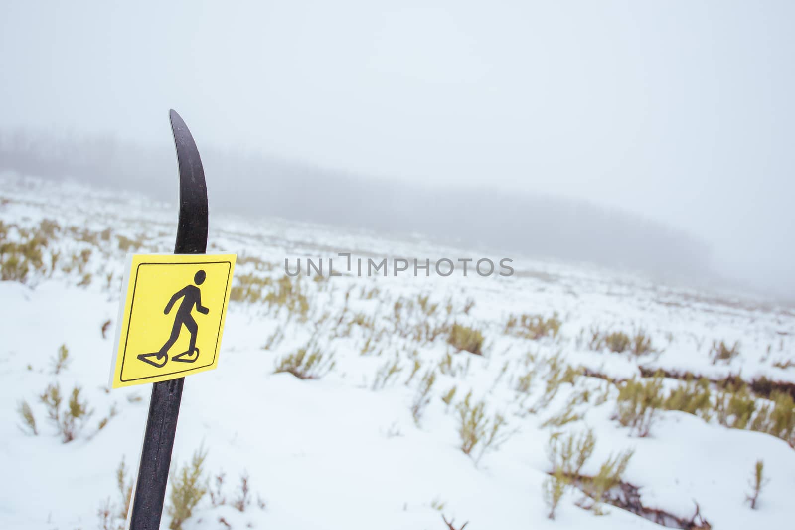 Snowshoe trail around the Taggerty River at Lake Mountain in Victoria, Australia