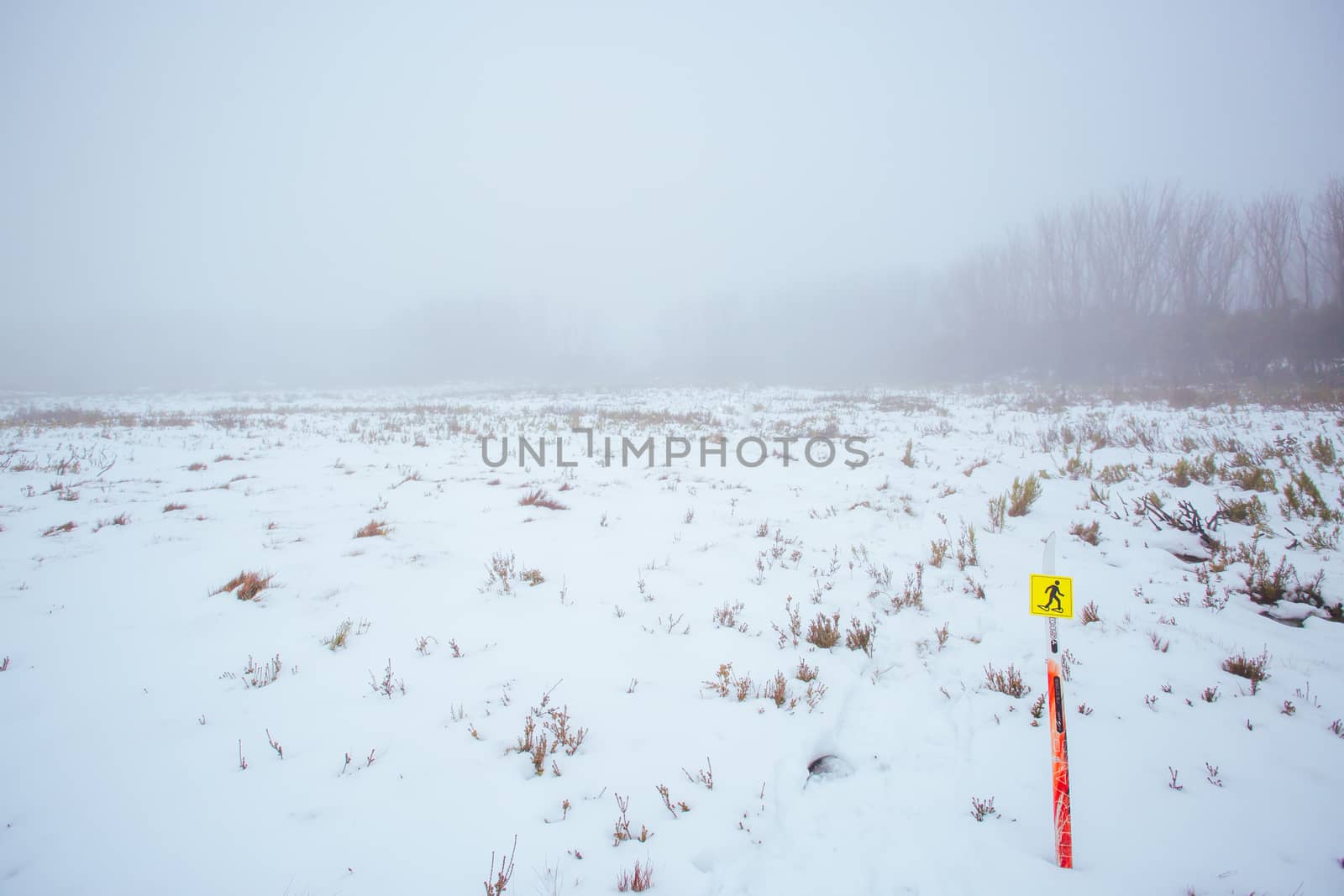 Lake Mountain, Australia - August 5 2014: Snowshoe trail around the Taggerty River at Lake Mountain in Victoria, Australia