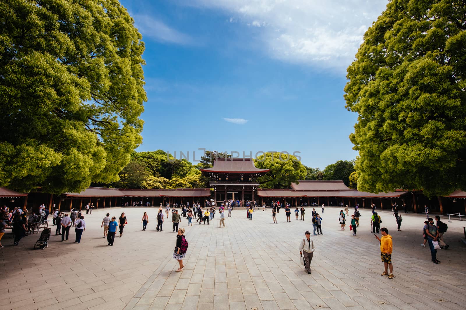 Meji-jingu Shrine in Tokyo Japan by FiledIMAGE